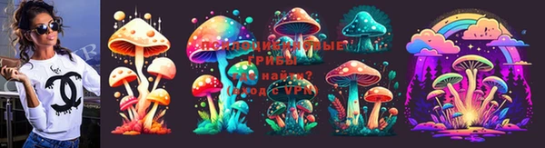 эйфоретик Пересвет